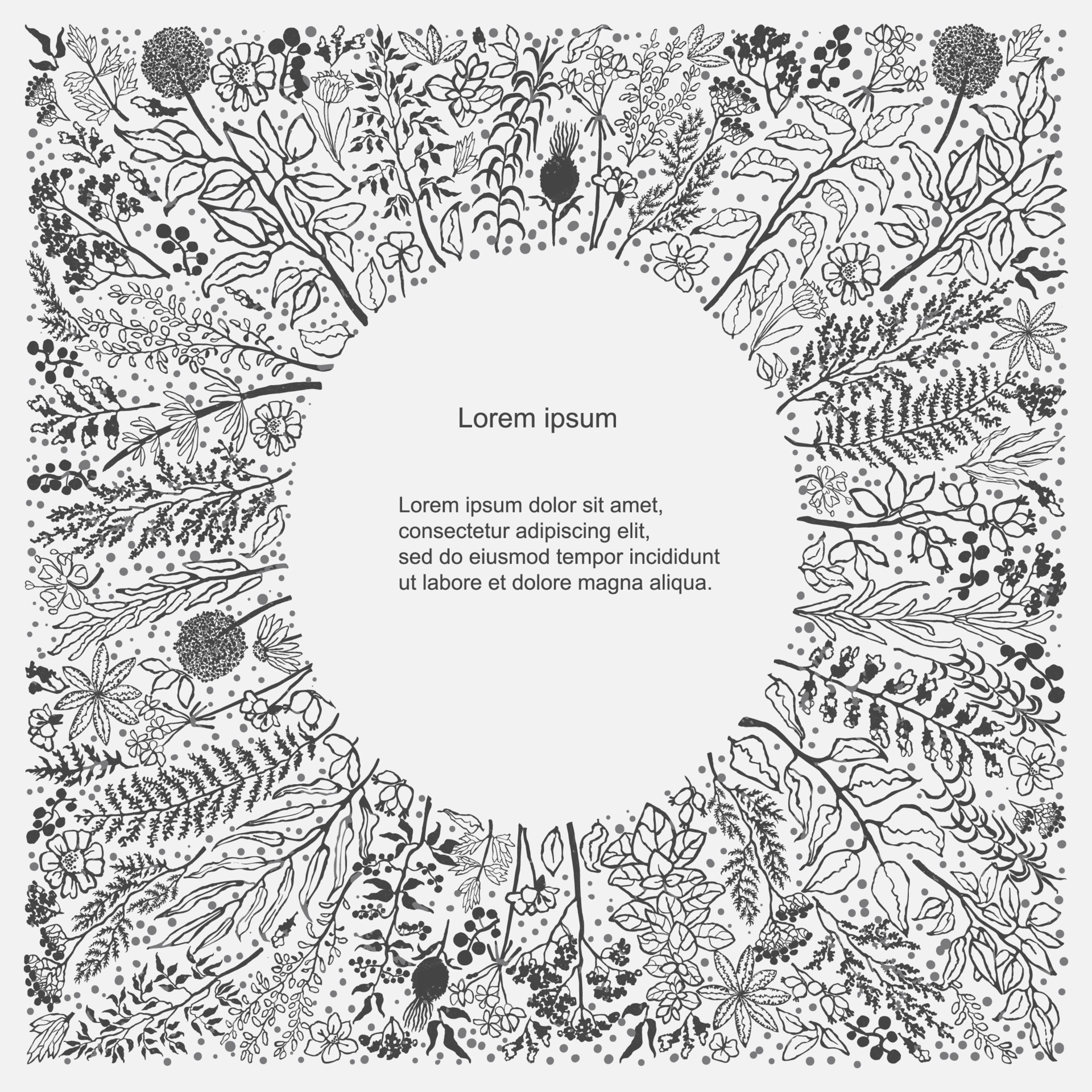 Vector floral template. Hand draw frame 3229837 Vector Art at Vecteezy