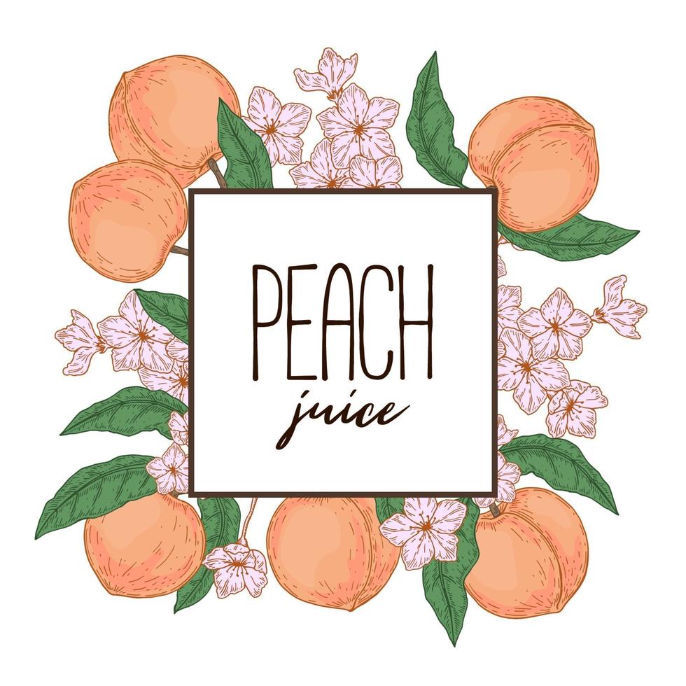 Hand drawn peach frame. Vector illustration in sketch style