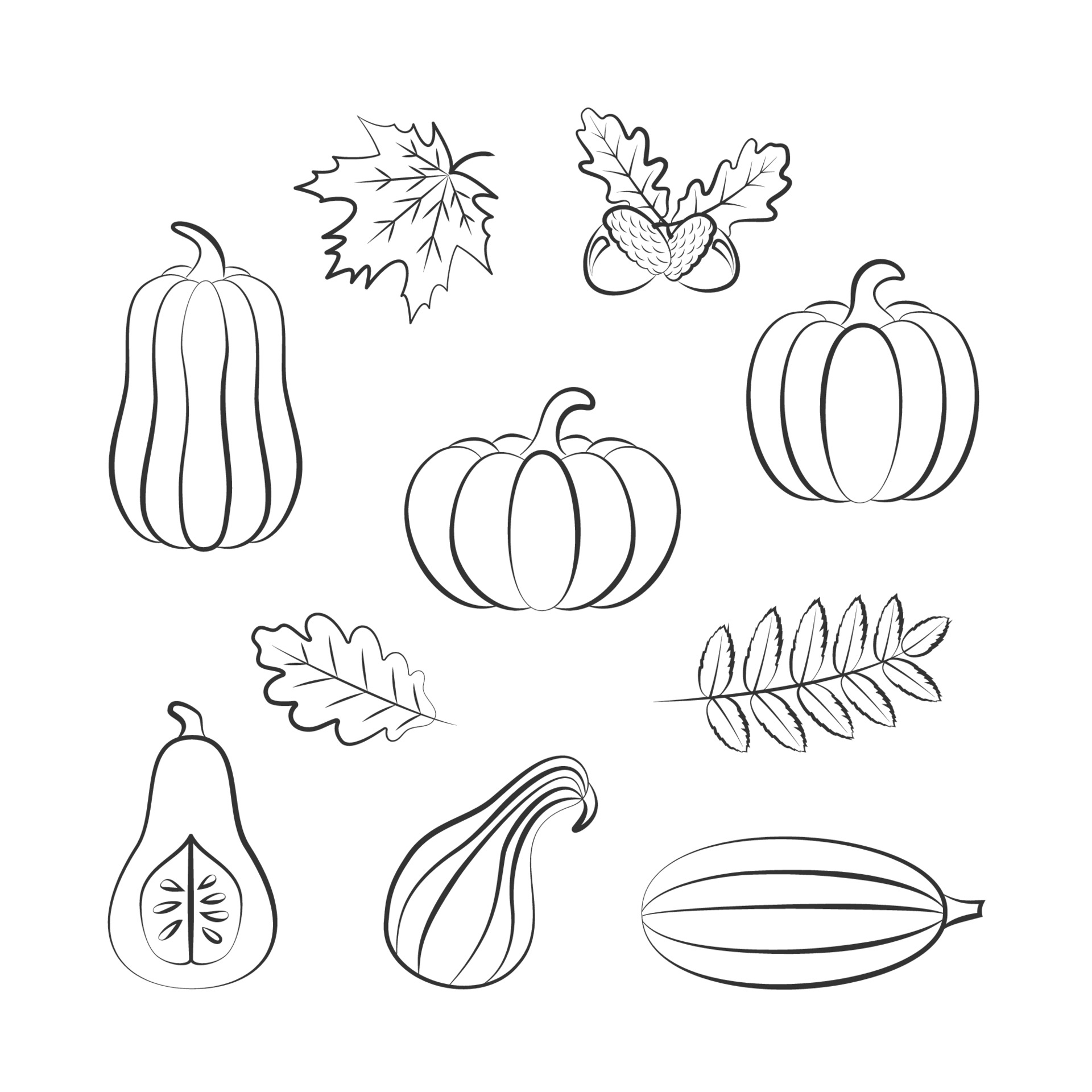 Outline Hand Drawing of Harvest Pumpkins and Leaves 3229872 Vector Art at  Vecteezy