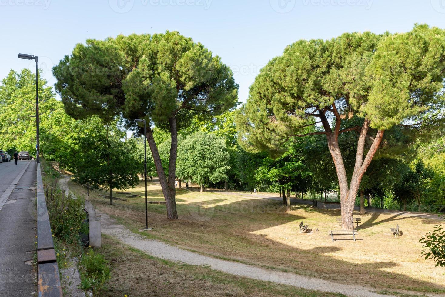 Park in Terni photo