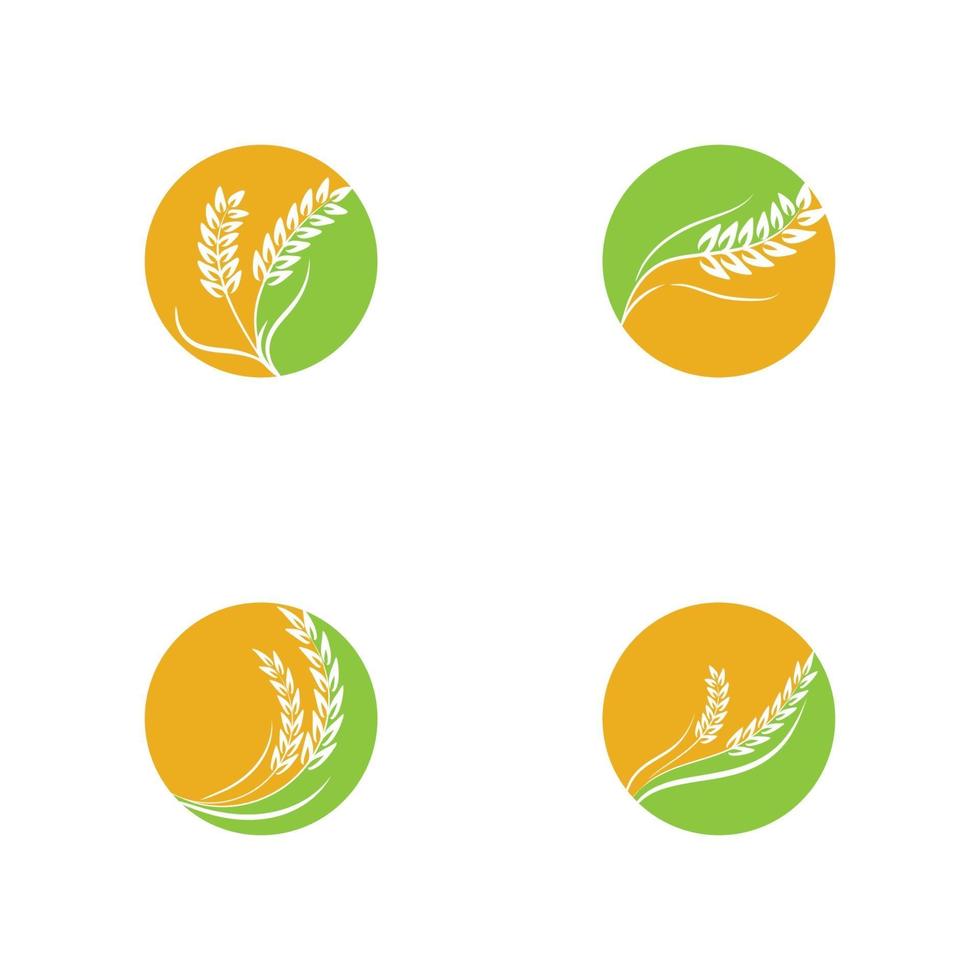 Agriculture Wheat logo template vector icon design