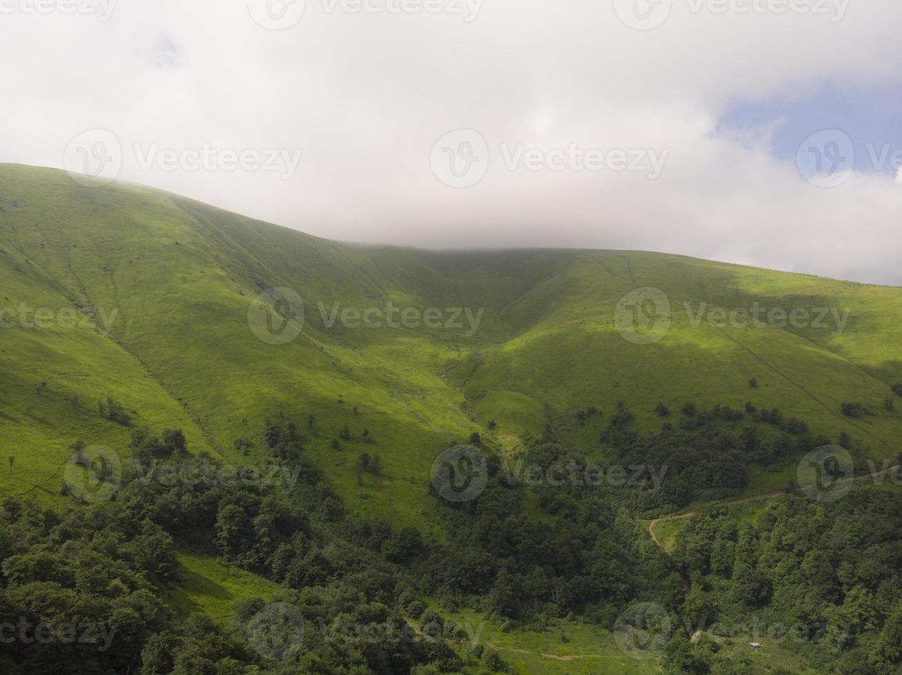 Foggy summer morning in the Carpathian mountains photo