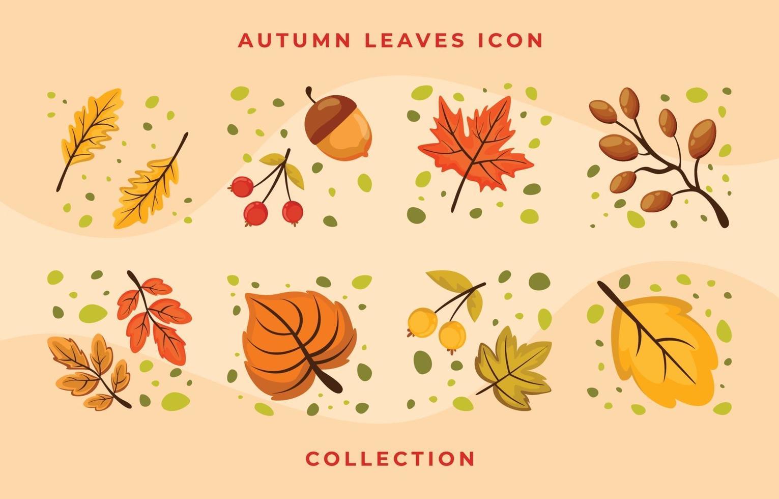 conjunto de colección de hojas de icono plano de otoño vector