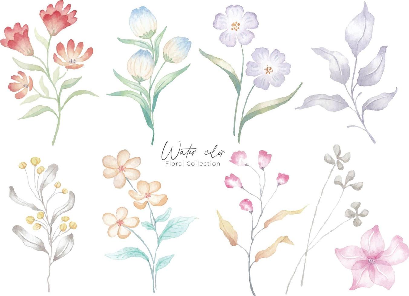 Watercolor flower background illustration. Botanical Floral set vector