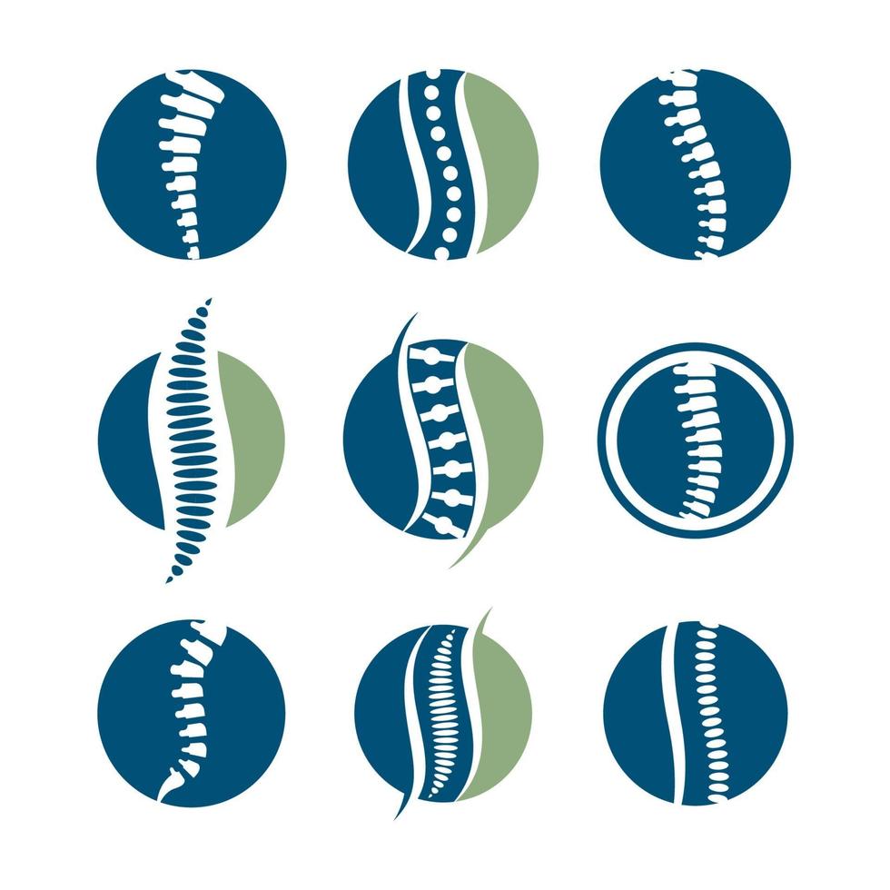 imágenes de la columna vertebral vector