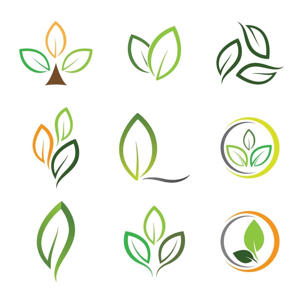 Leaf logo images vector