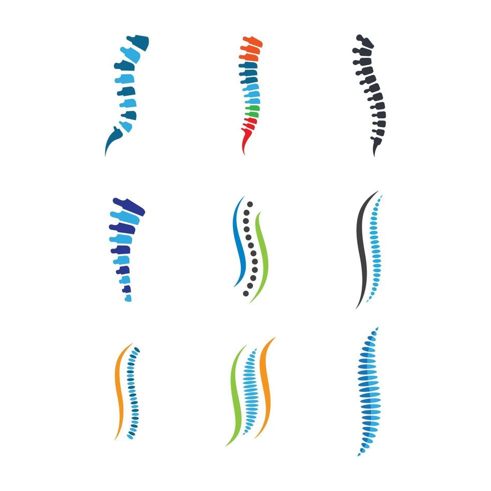 imágenes de la columna vertebral vector