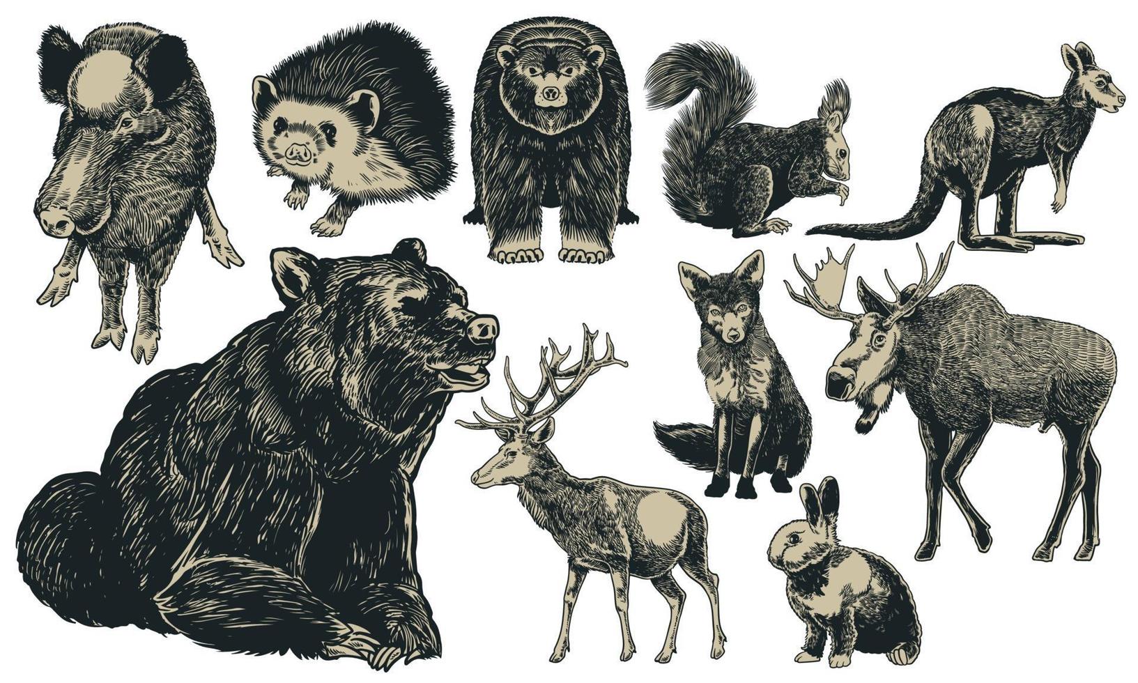 Animals of Europe hand drawn set  vintage engraving vector