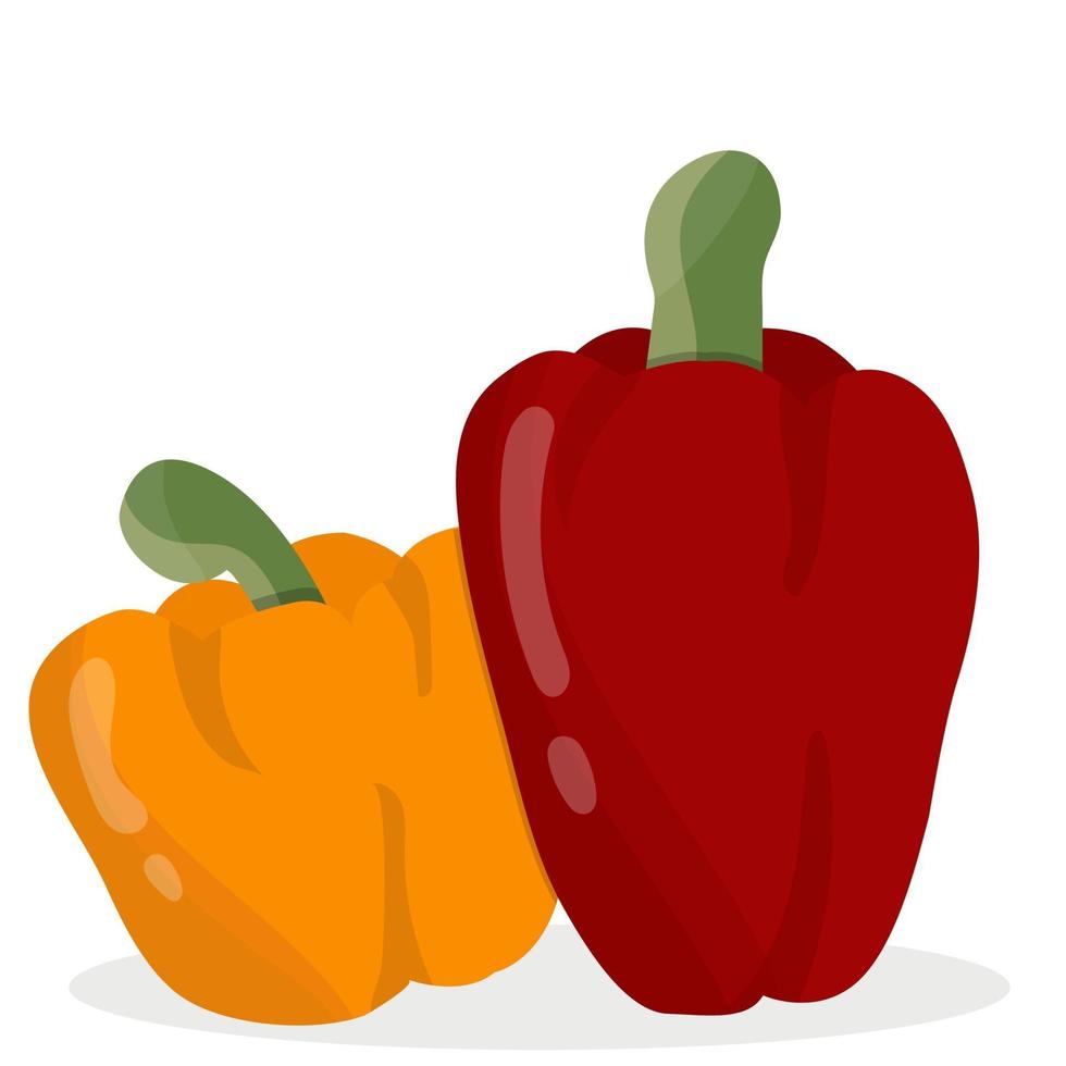 Red and yellow bell pepper isolated on white vector