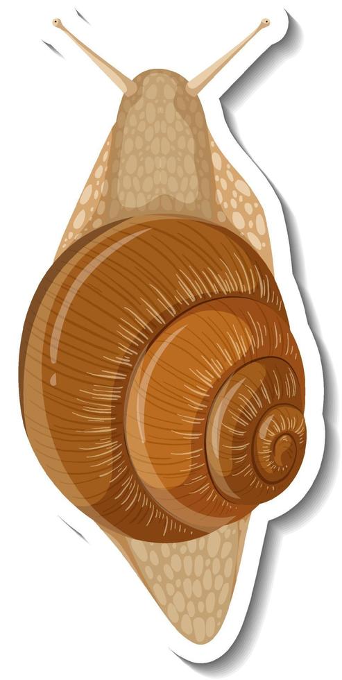 A sticker template with a snail isolated vector