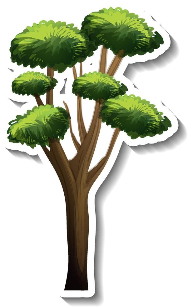 A tree with green leaves sticker on white background vector