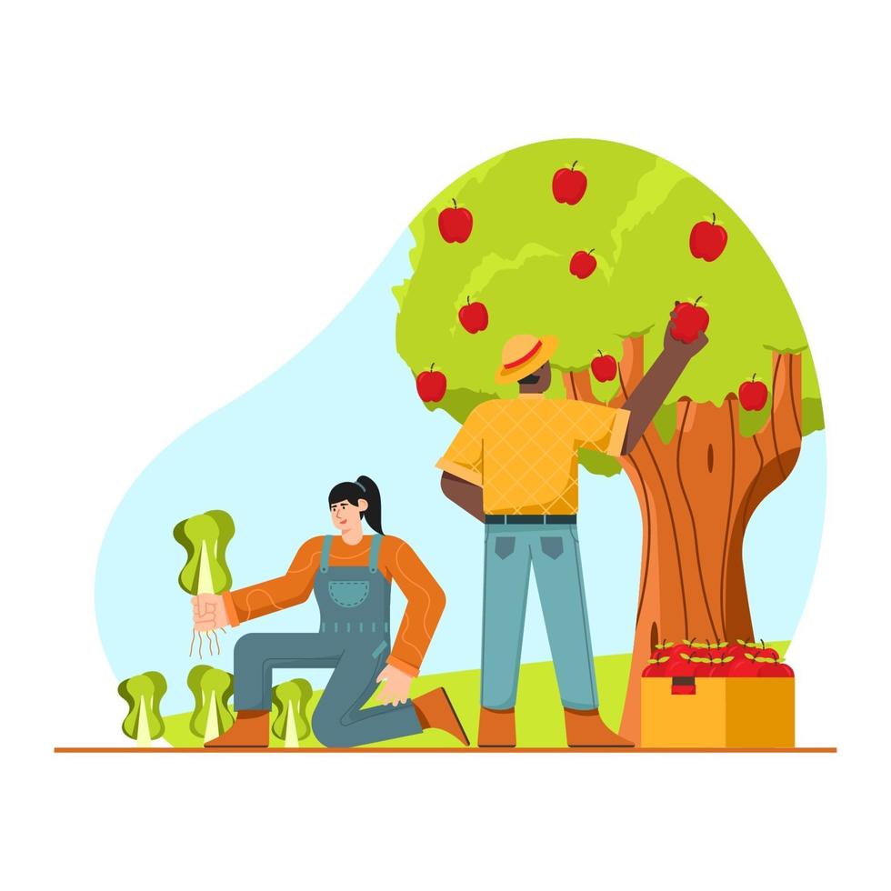 Farmer harvesting illustration vector