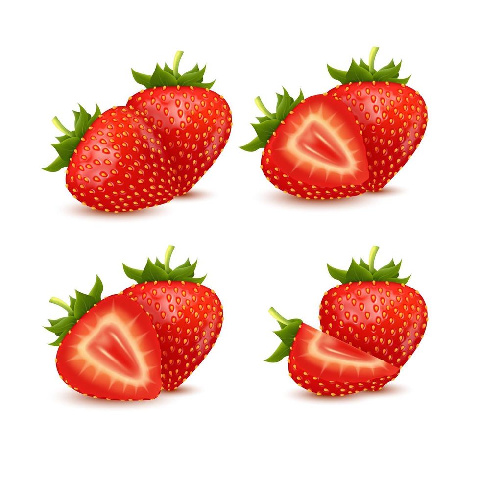 Set of realistic fresh strawberry with leaves, fruit cut in half. vector