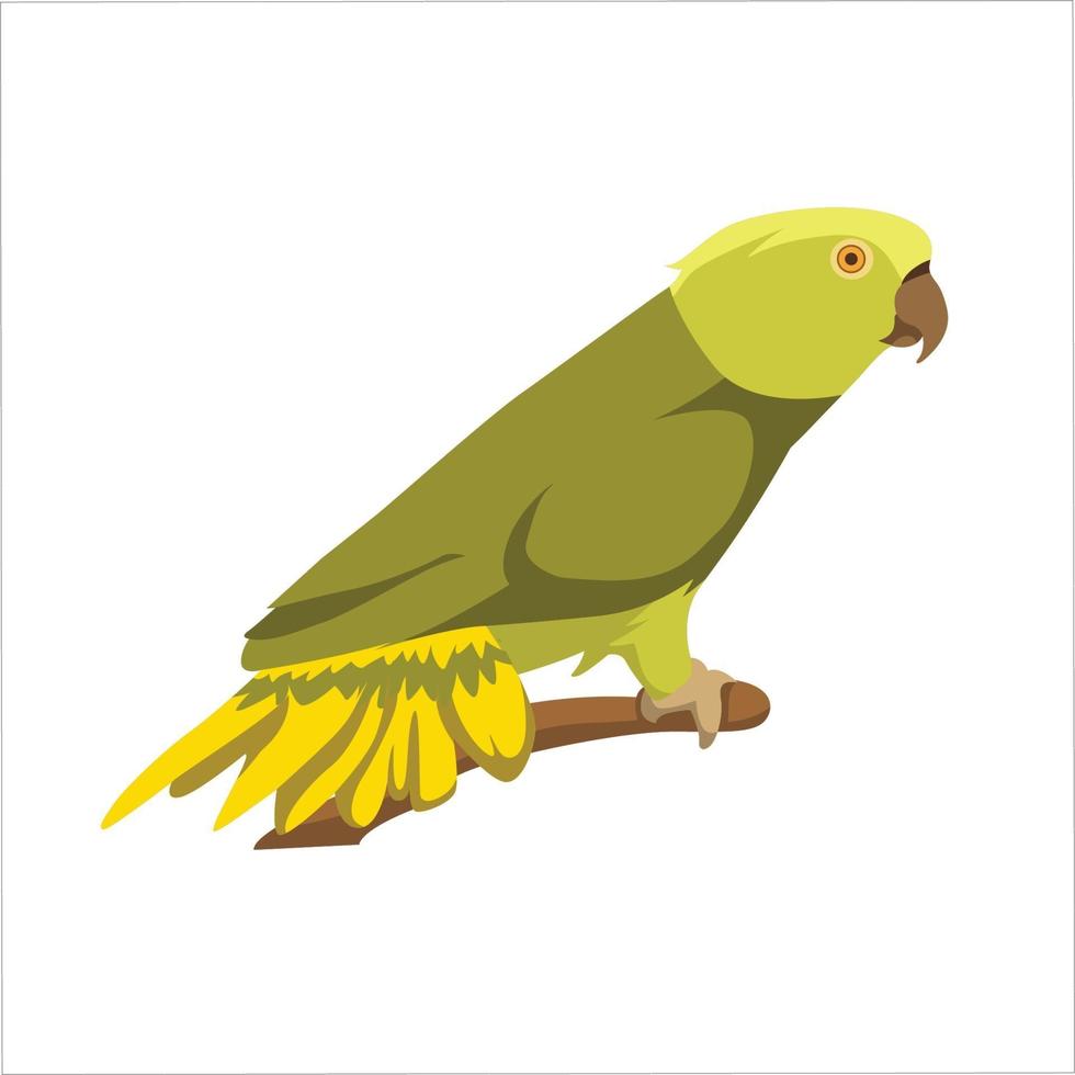 Parrot Flat Color Clip art design vector