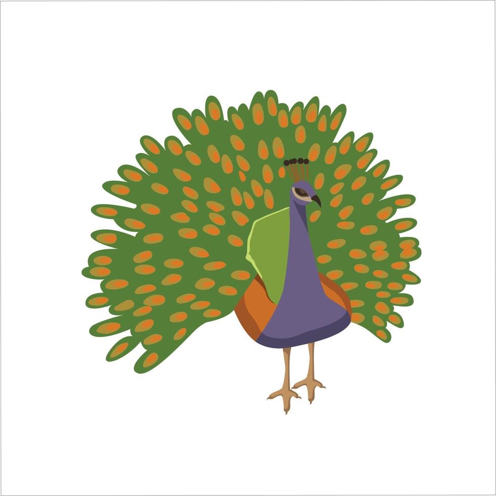 Peacock Flat Color Clip art design vector