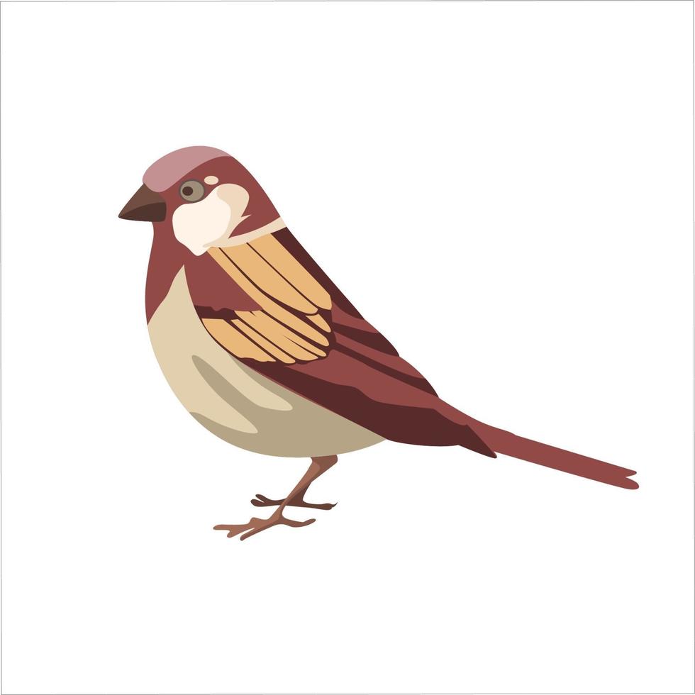 Sparrow Flat Color Clip art design vector