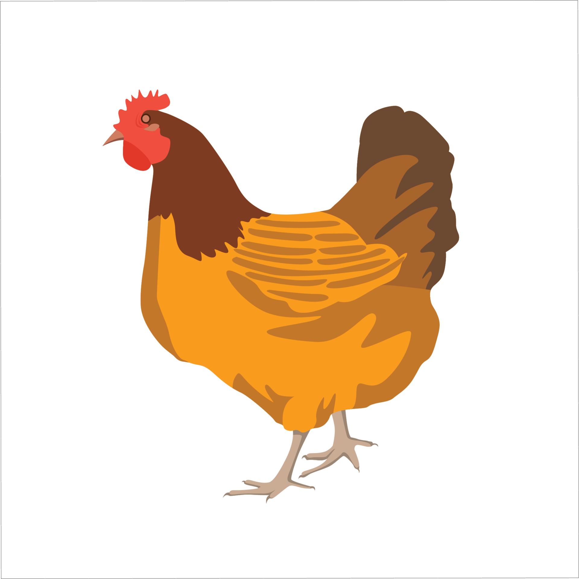Chick Icon Vector Art Icons And Graphics For Free Download chick-icon-vector-art-icons-and-graphics-for-free-download