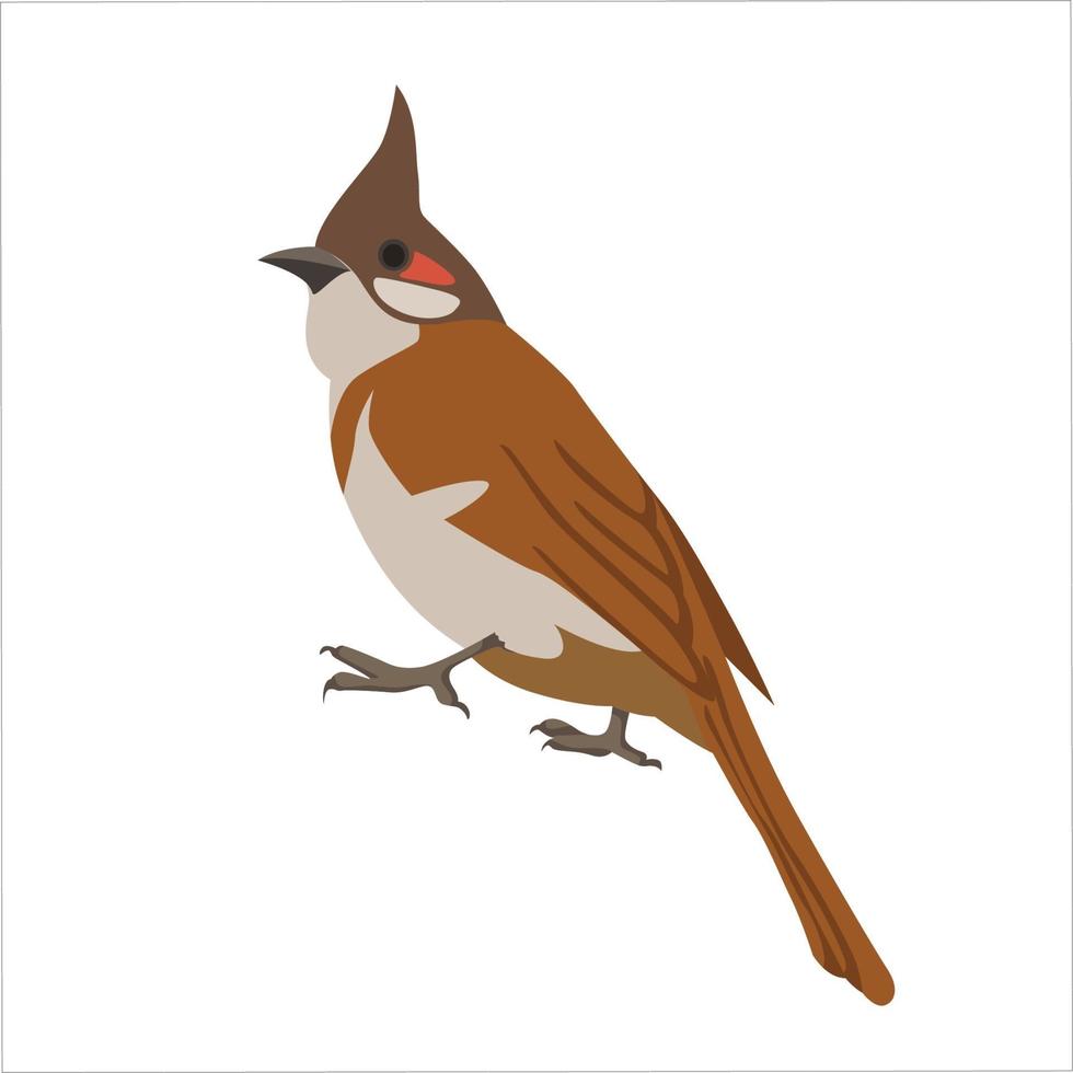 Bulbul Flat Color Clip art design vector