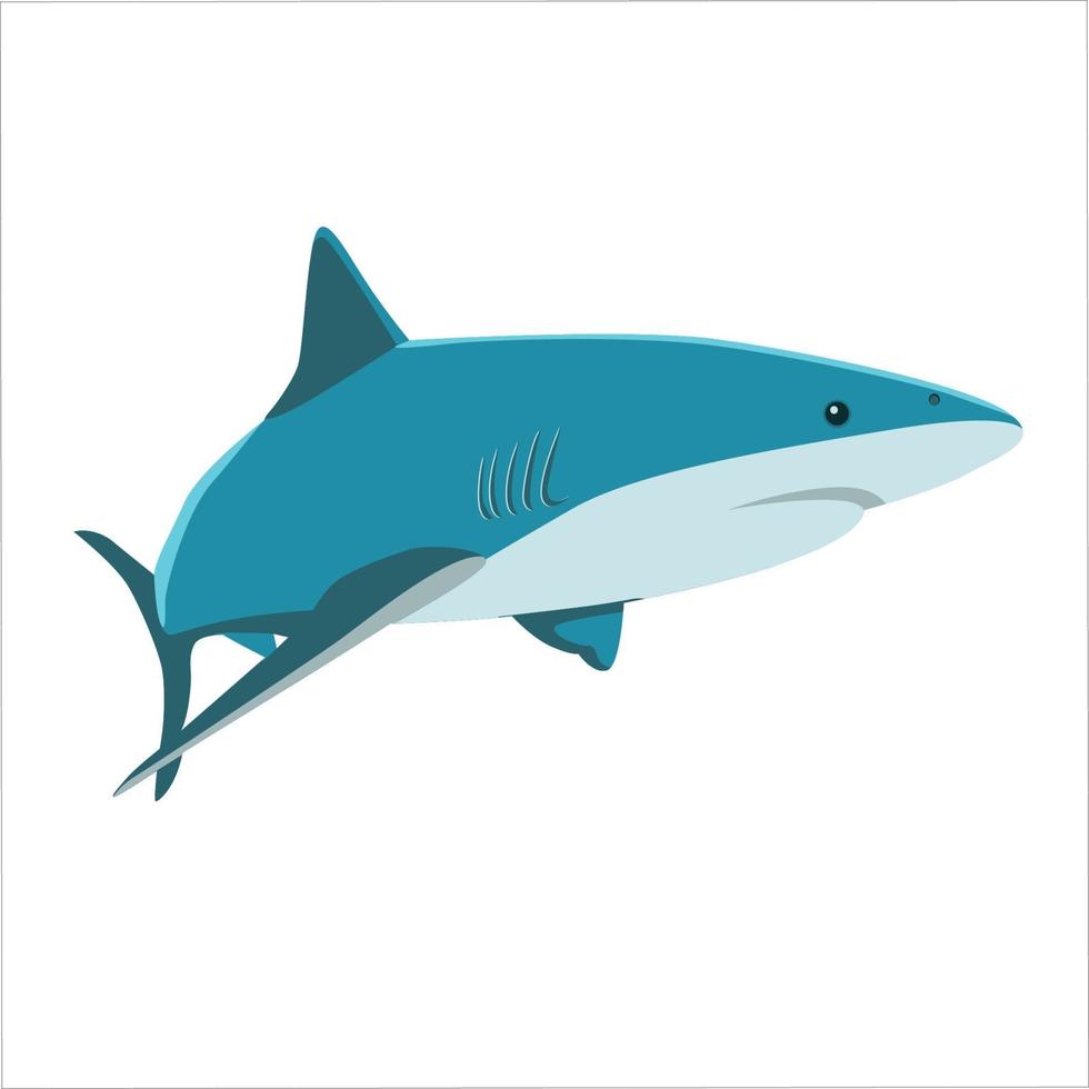Diseño de ilustración de vector de imágenes prediseñadas de color de tiburón