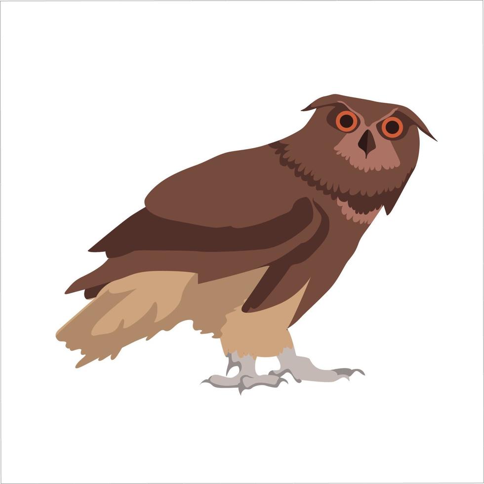 Owl Color Clipart Vector Illustration Design