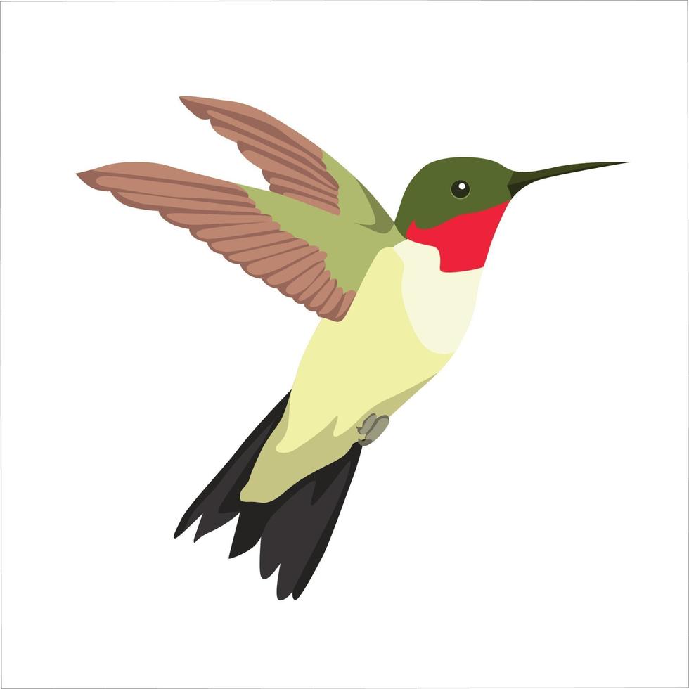 Humming Bird Color Clipart Vector Illustration Design