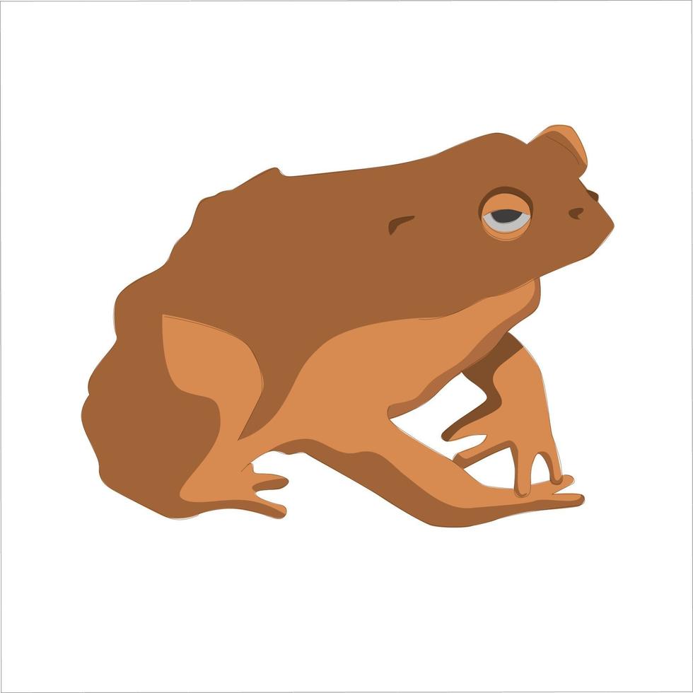 Toad Color Clipart Vector Illustration Design