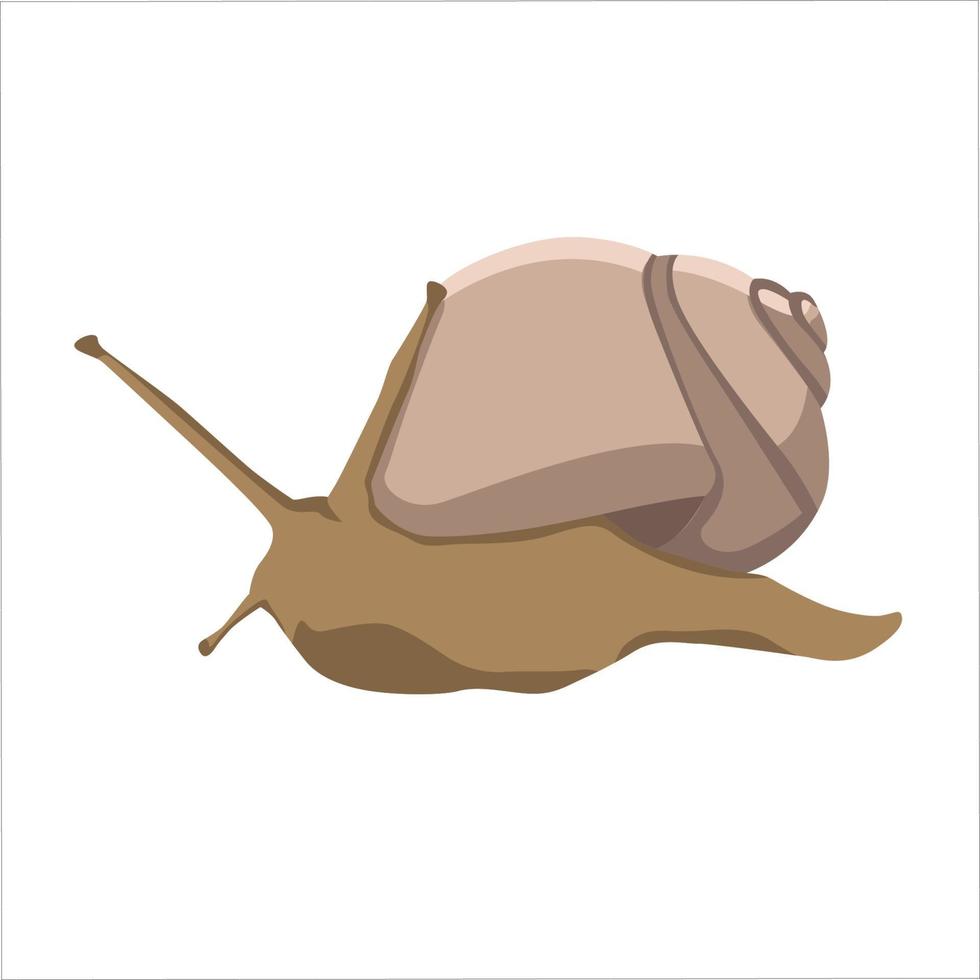 Snail Color Clipart Vector Illustration Design