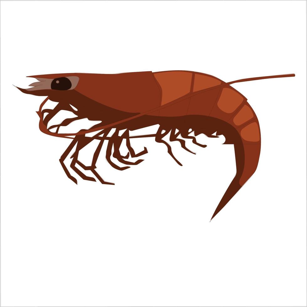 Diseño de ilustración de vector de imágenes prediseñadas de color de insecto de langostino