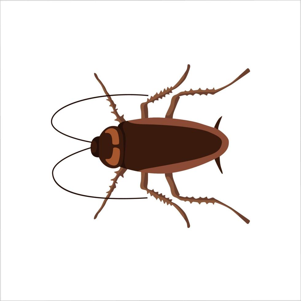 Diseño de ilustración de vector de imágenes prediseñadas de color de cucaracha