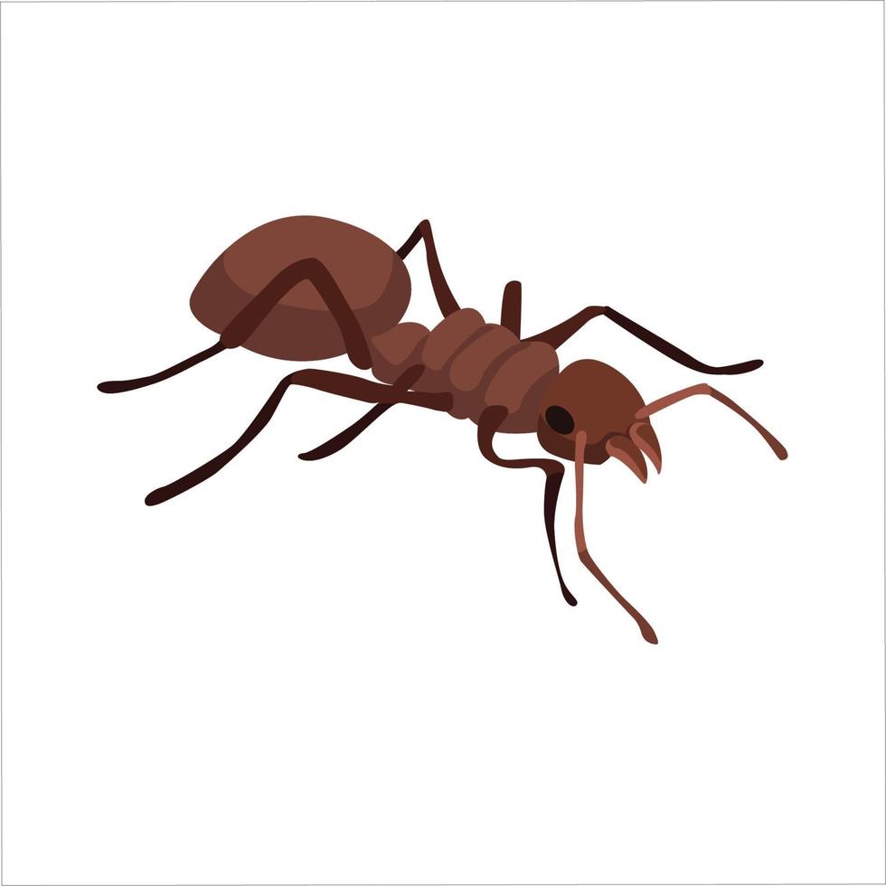 Ant Color Clipart Vector Illustration Design