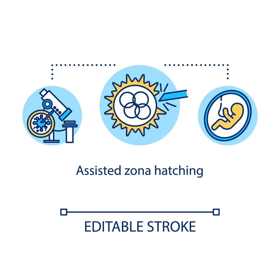 Assisted zona hatching concept icon vector