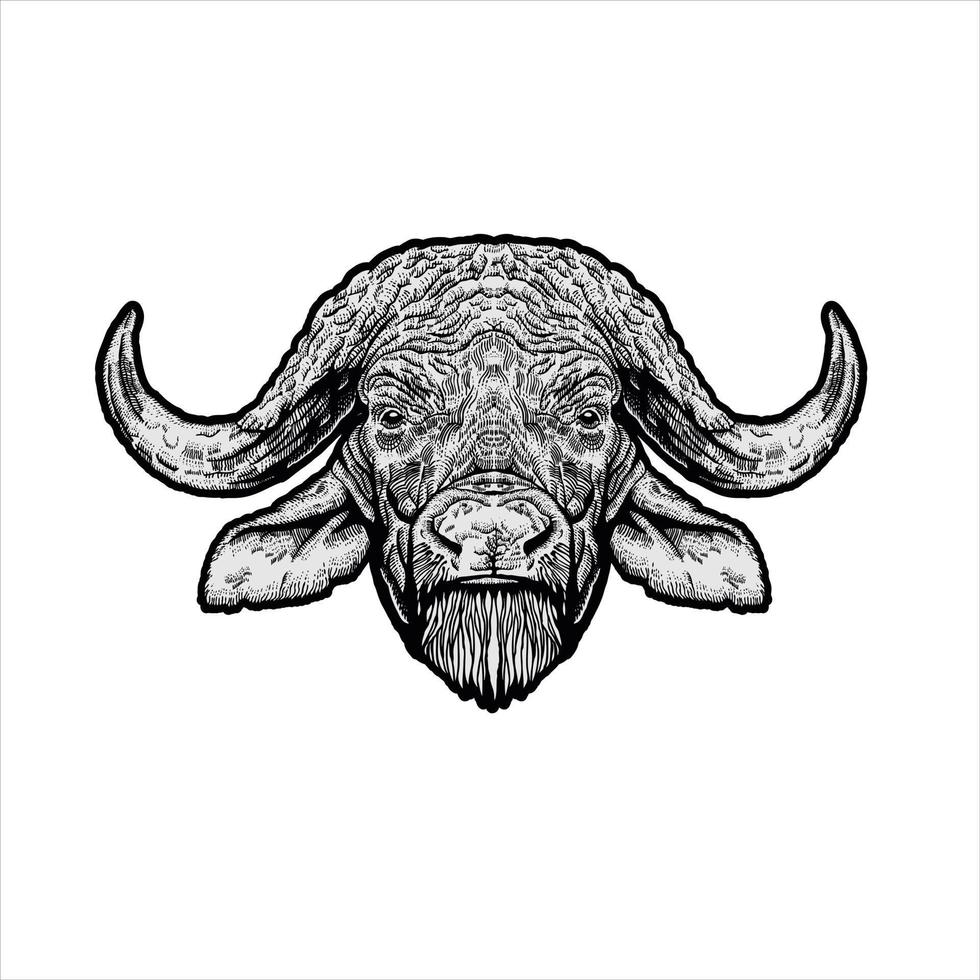 Animal african buffalo head drawing vector