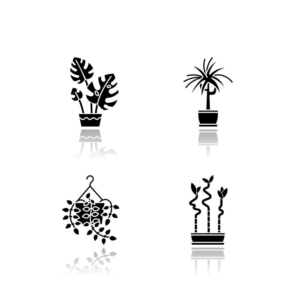 Indoor plants drop shadow black glyph icons set vector