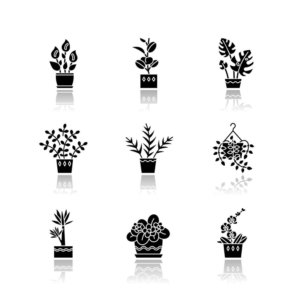 Spraying domesticated plants drop shadow black glyph icons set vector