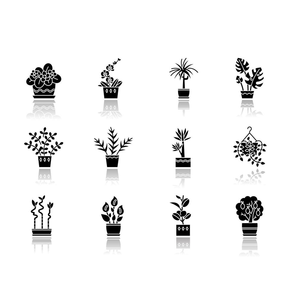 Houseplant caring drop shadow black glyph icons set vector