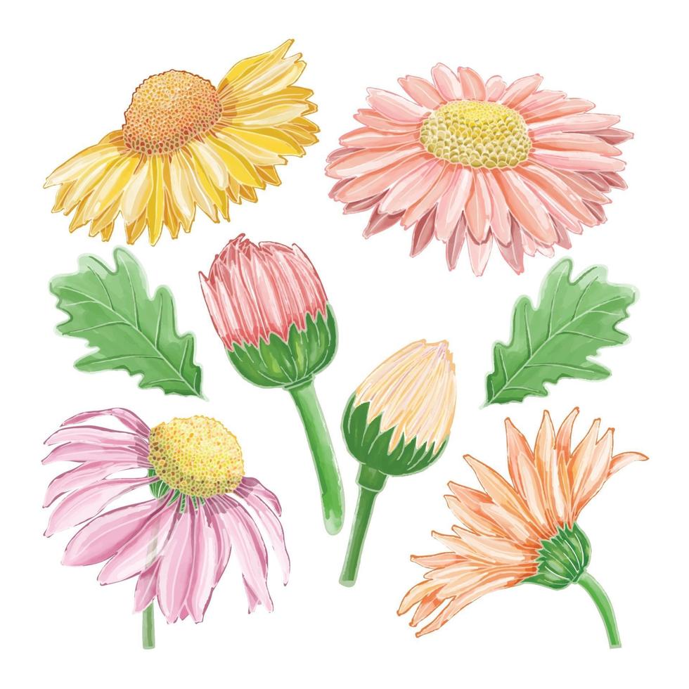 Set of watercolor painted winter flower clipart. Hand drawn vector