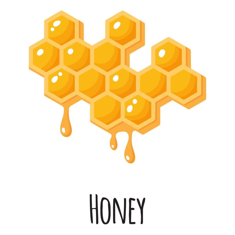 Honey superfood for template farmer market, label, packing. vector