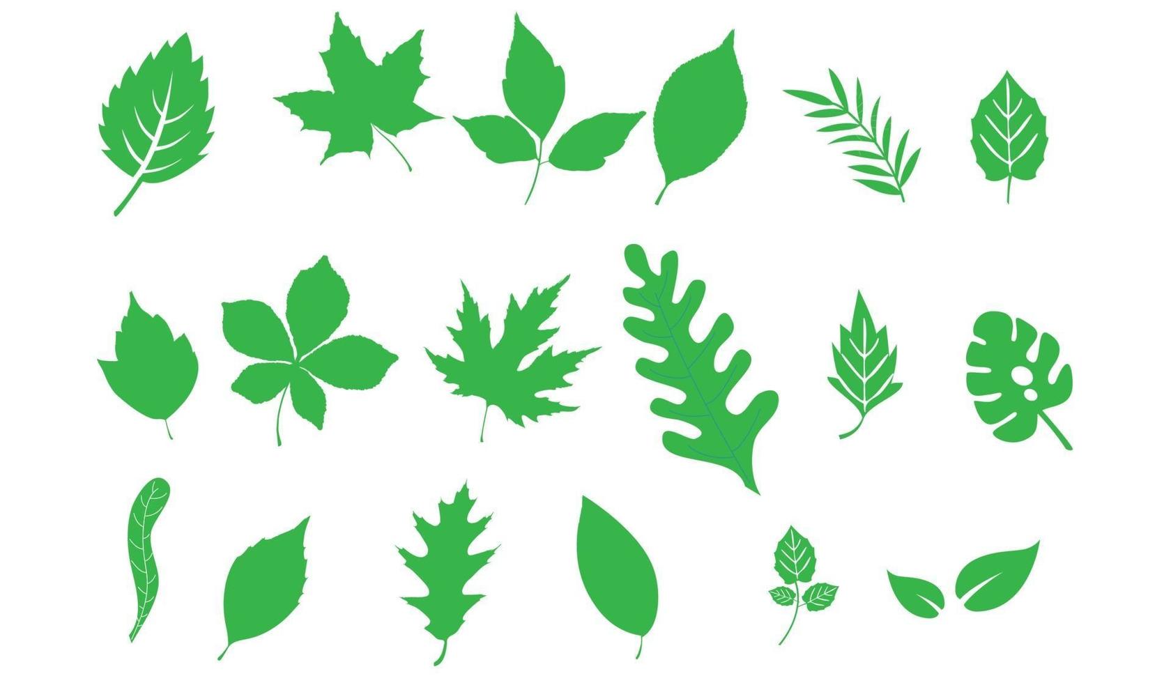 Leafs green set. Green leaf ecology nature element symbol isolated vector