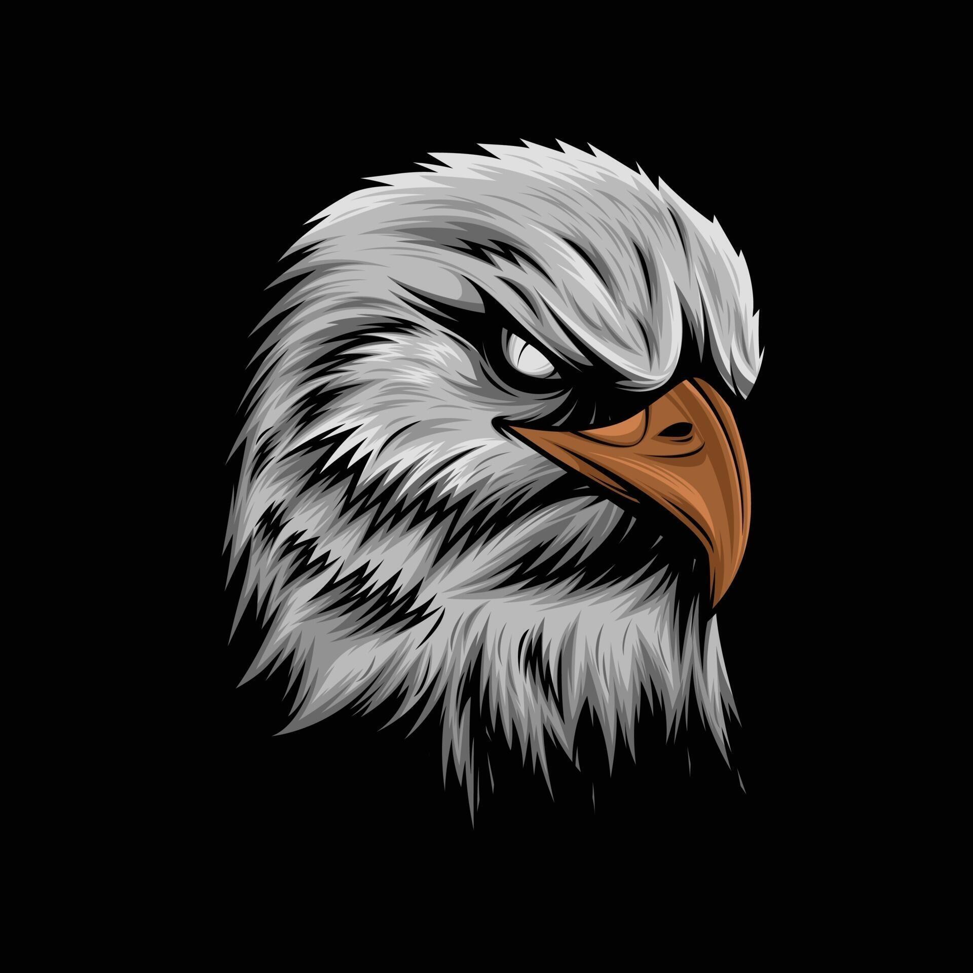 Angry Bald Eagle Vector Artwork 3238689 Vector Art at Vecteezy