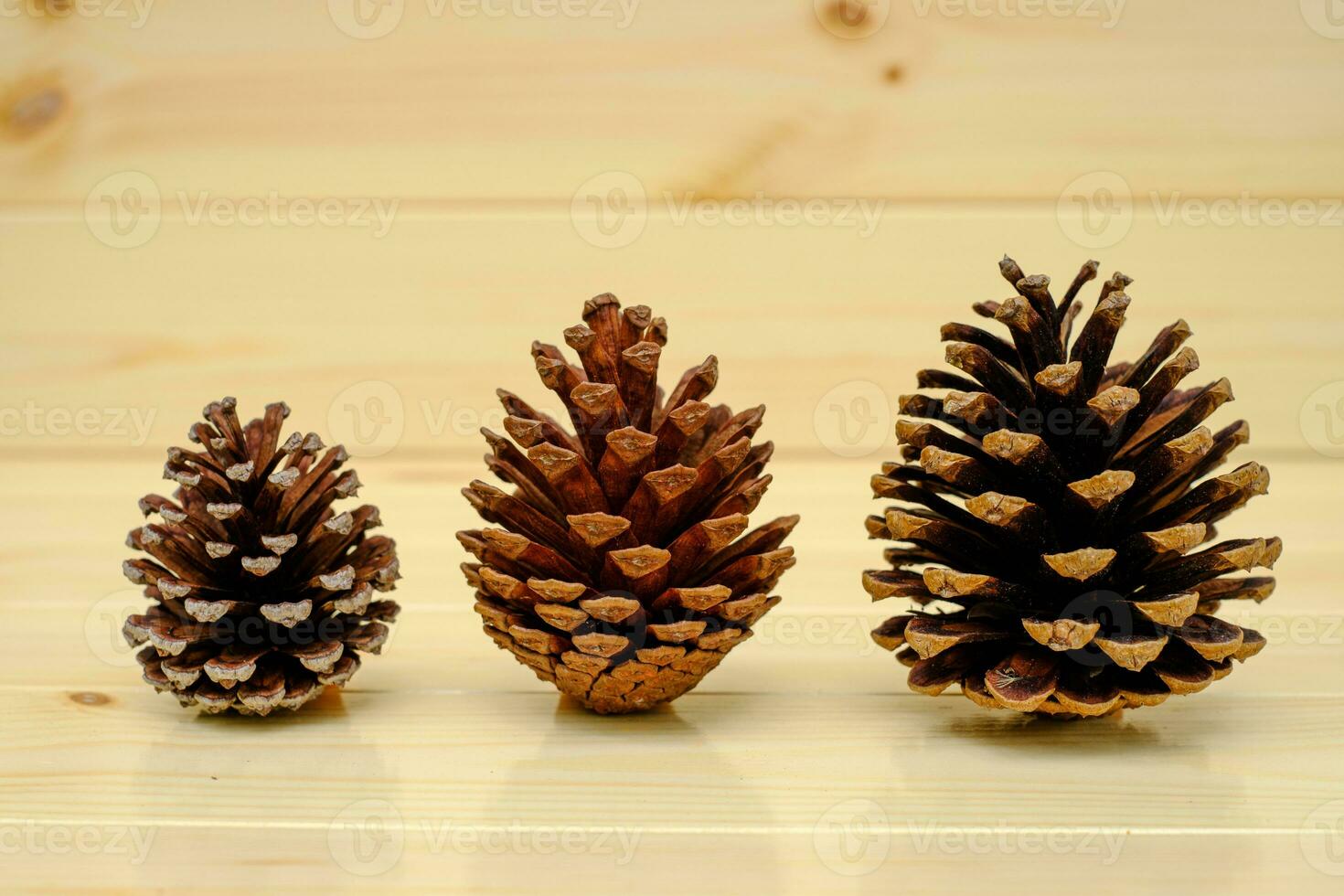 Dry pine cone on the wood table photo