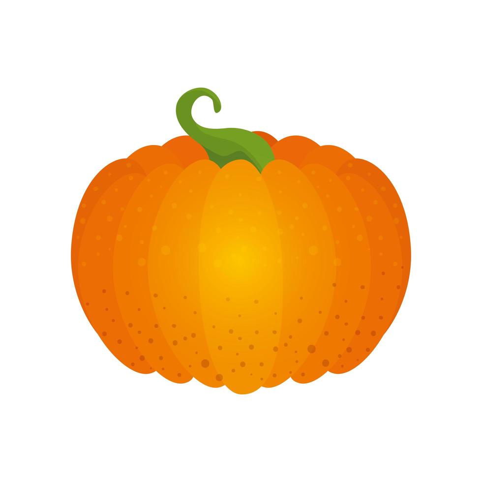 Isolated pumpkin vector design