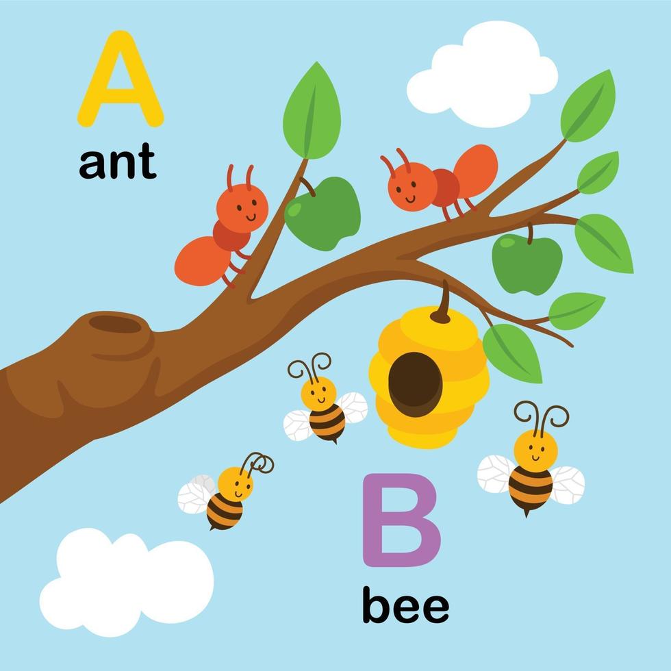 letra del alfabeto a-hormiga, b-abeja, ilustración vector