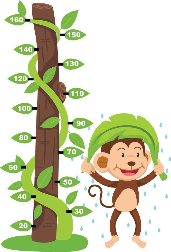 Meter wall with monkey.illustration. vector