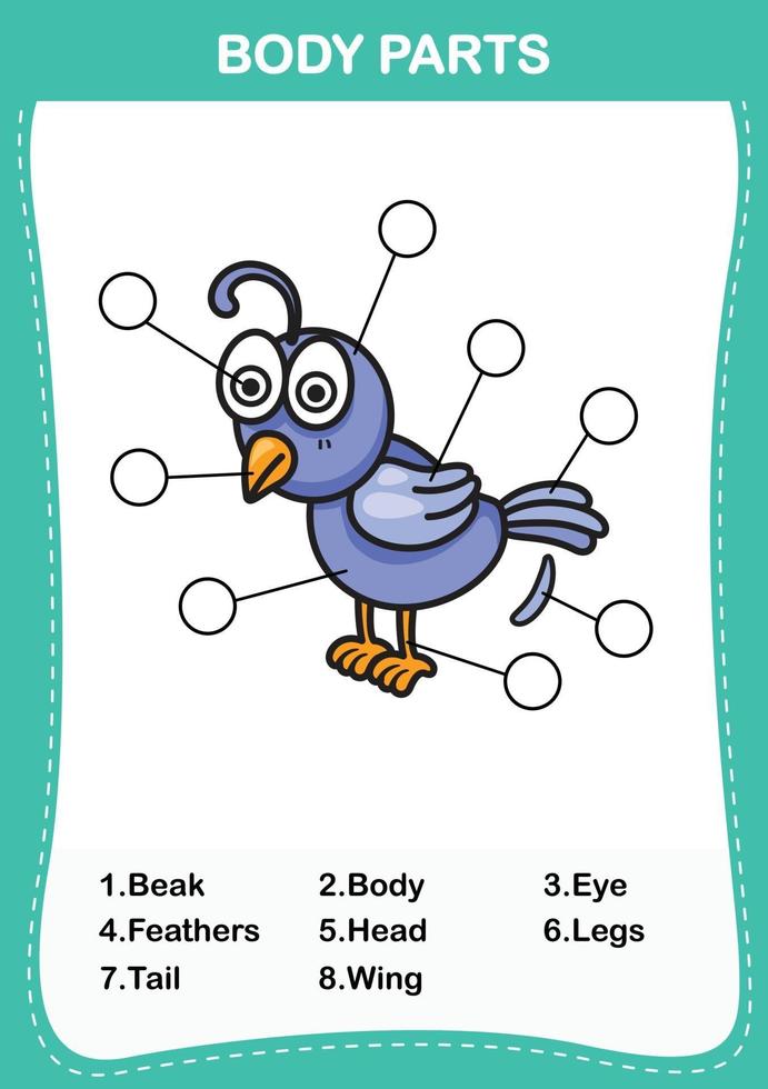 Write the correct numbers of body parts vector