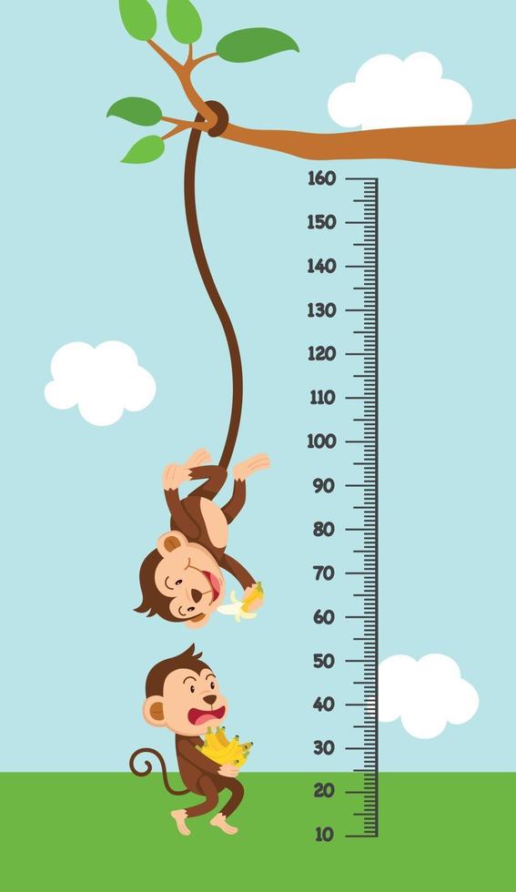 Meter wall with monkey. illustration. vector