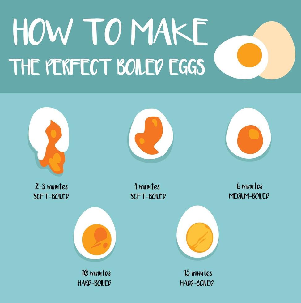 How to make the perfect boiled eggs illustration vector