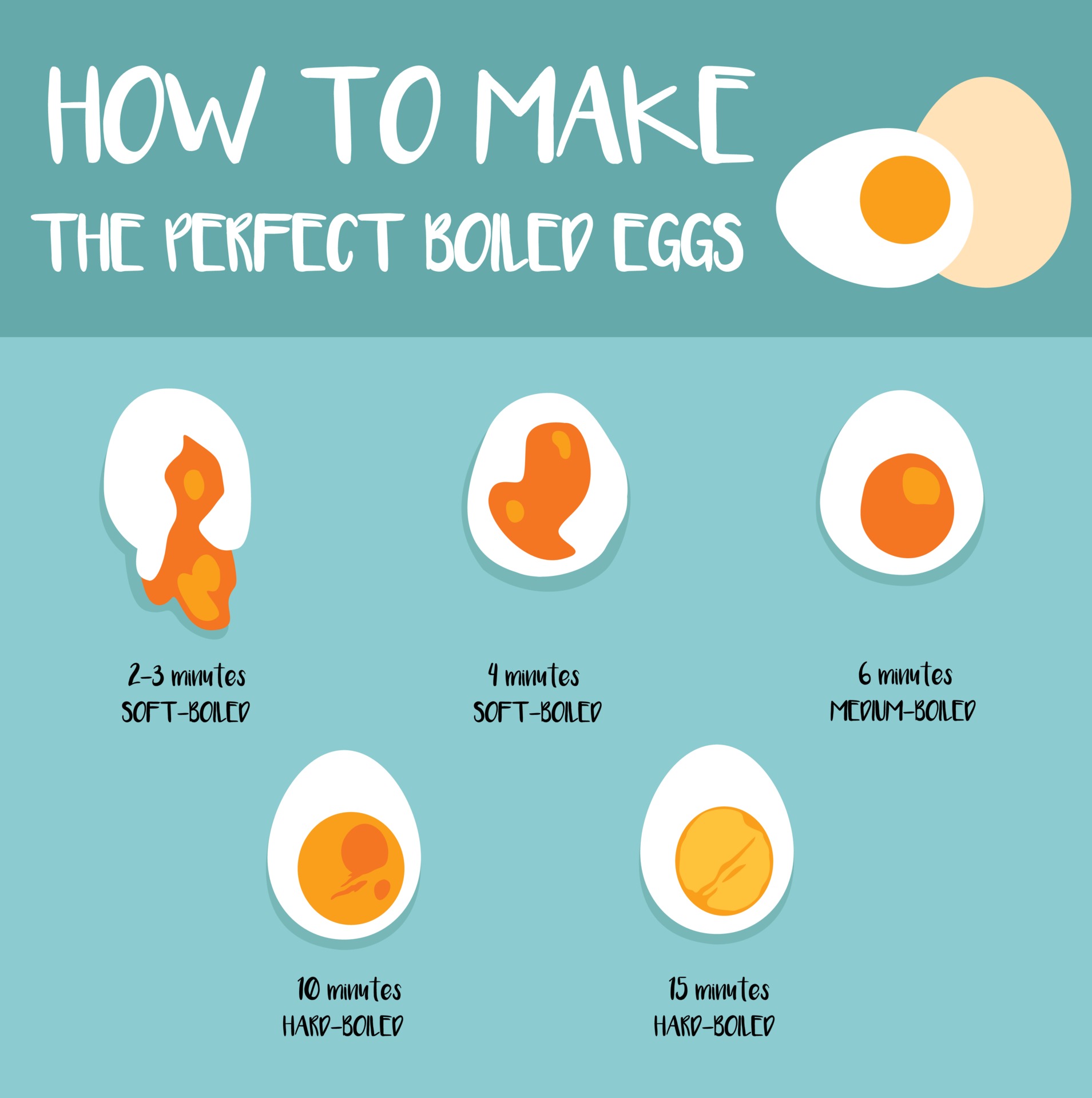 How to make the perfect boiled eggs illustration 3239546 Vector Art at