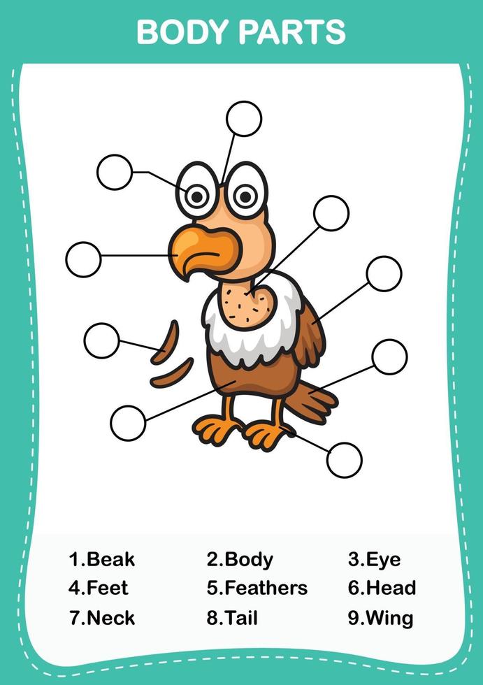 Write the correct numbers of body parts vector