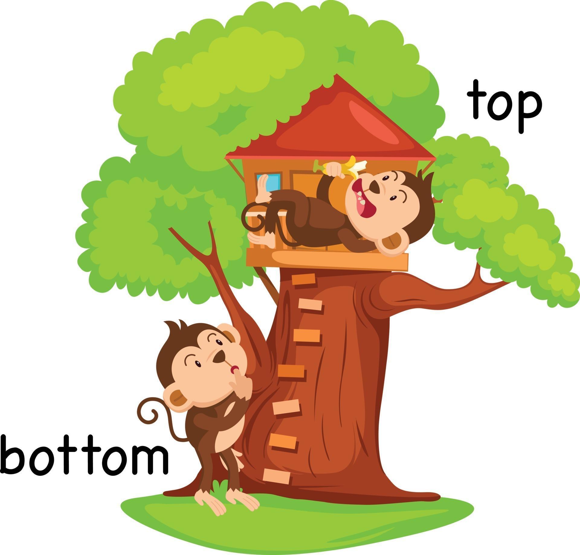 Opposite words bottom and top vector 3239641 Vector Art at Vecteezy