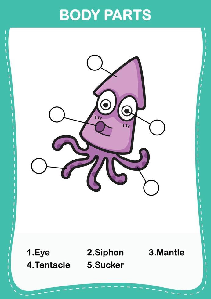 Write the correct numbers of body parts vector